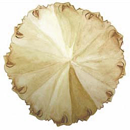 Head Forms image
