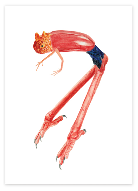 red chimera (1) image